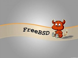 FreeBSD 10.1-RC2 发布  FreeBSD 10.1-RC2下载 