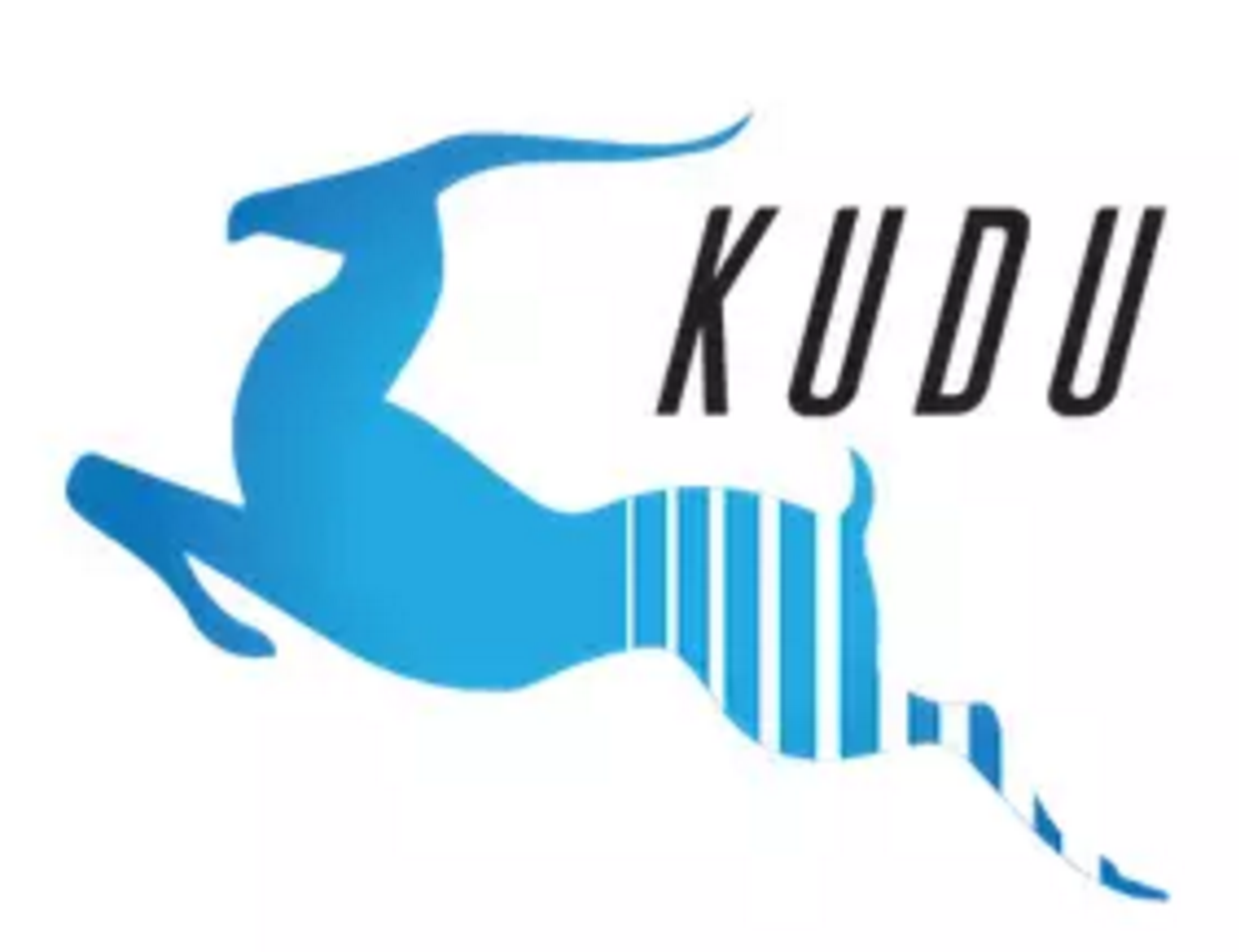 Kudu：为大数据快速分析量身定制的 Hadoop 存储系统-芊雅企服
