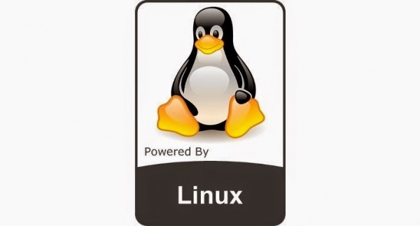 Linux Kernel 4.8.17 发布，4.8分支最后的稳定版本-芊雅企服