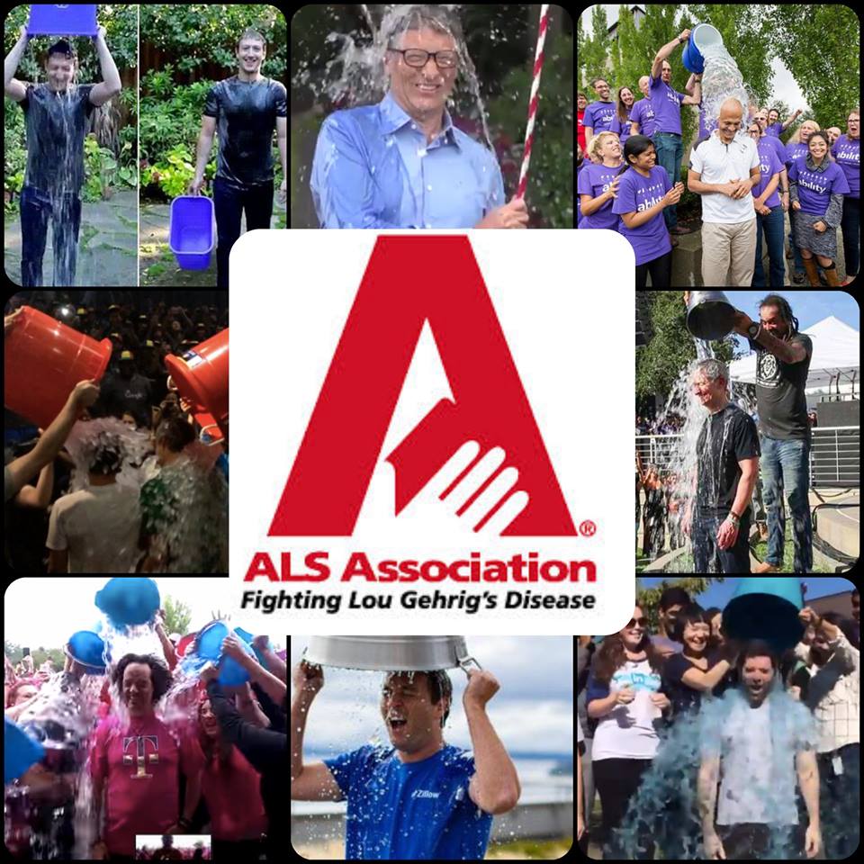 网页设计和开发团队可以从ALS冰桶挑战中学习3件事-芊雅企服