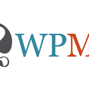 WPML-Translation-Management-Addon-2.9.5