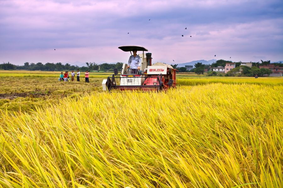 别再让利润烂在地里了!这套 RAW 系统,帮你省出一辆奥迪!-芊雅企服